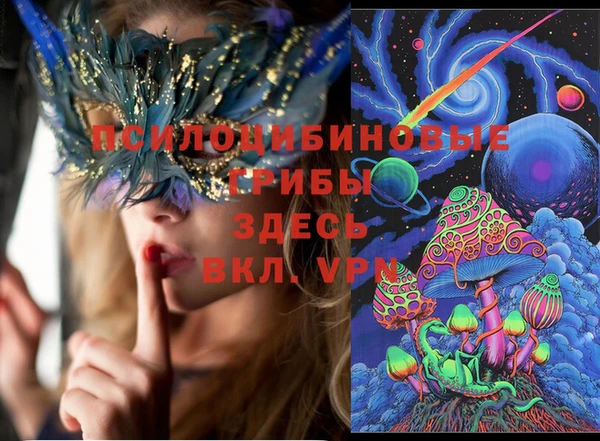 индика Пролетарск